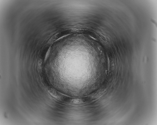 X0000096470275200802141705