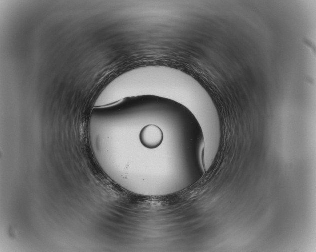 X0000096470276200802141705