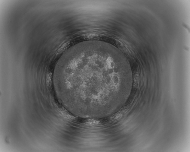 X0000096470278200802141705