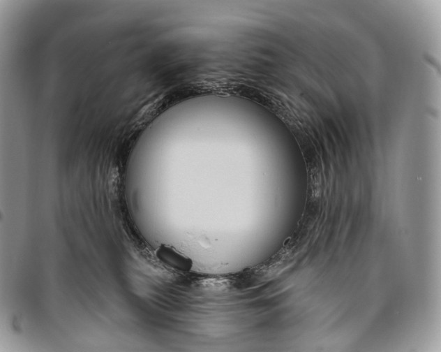 X0000096470279200802141705