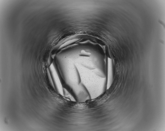 X0000096470280200802141705