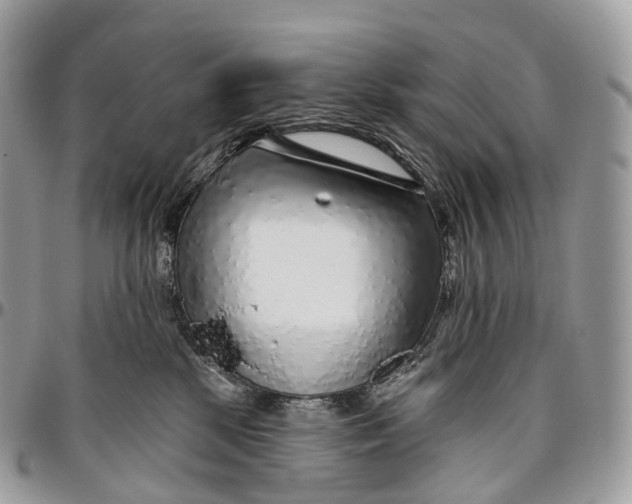 X0000096470281200802141705