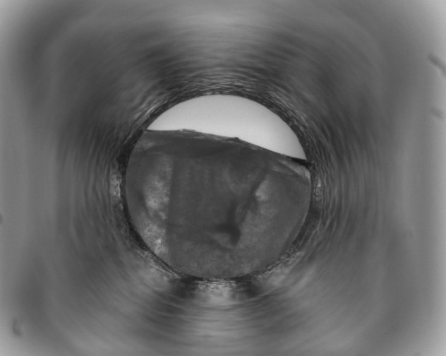 X0000096470282200802141705