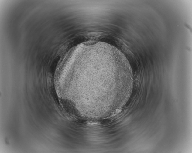 X0000096470283200802141705