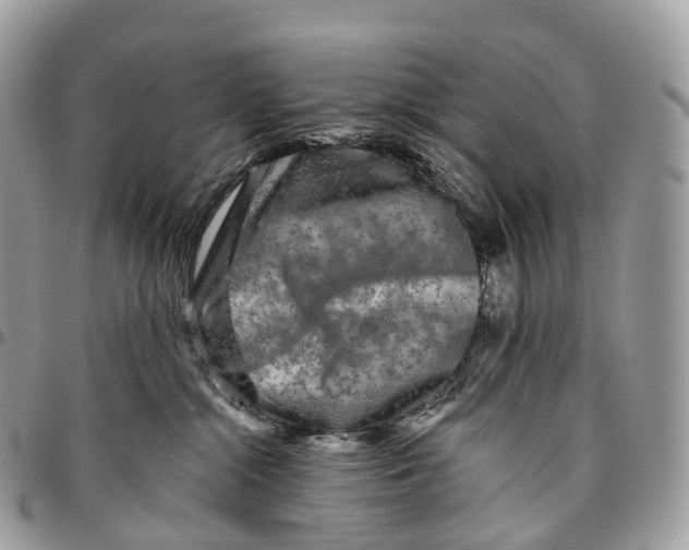 X0000096470284200802141705