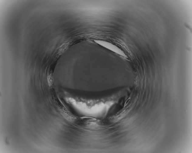 X0000096470285200802141705