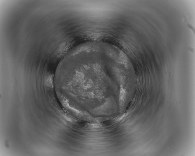 X0000096470286200802141705