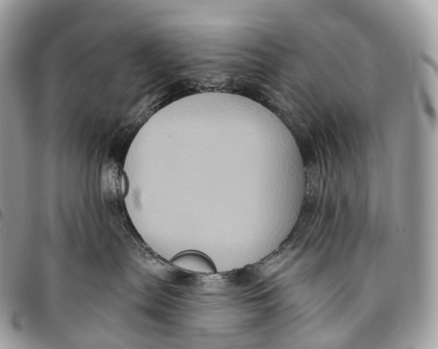 X0000096470287200802141705