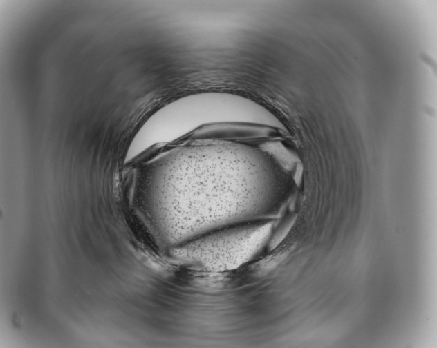 X0000096470288200802141705