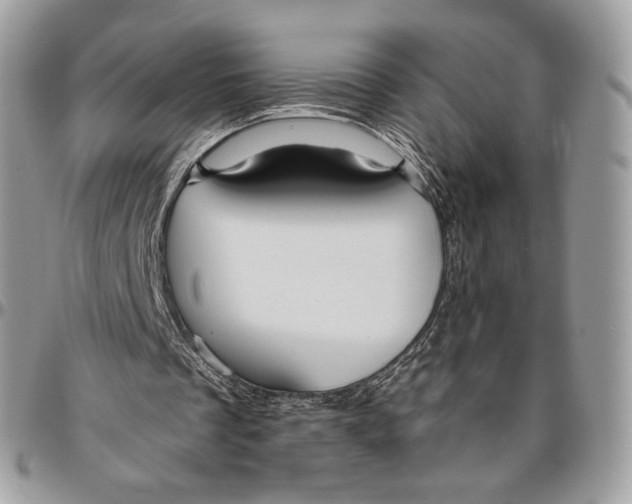 X0000096470289200802141704