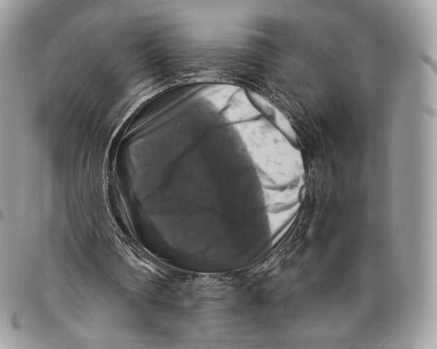 X0000096470290200802141704