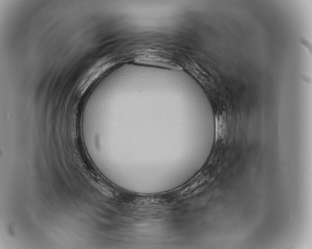 X0000096470291200802141704