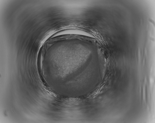 X0000096470292200802141704