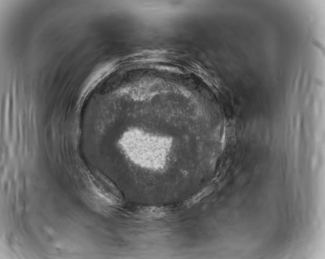 X0000096470293200802141704