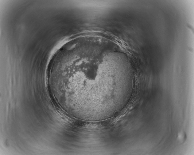 X0000096470294200802141704