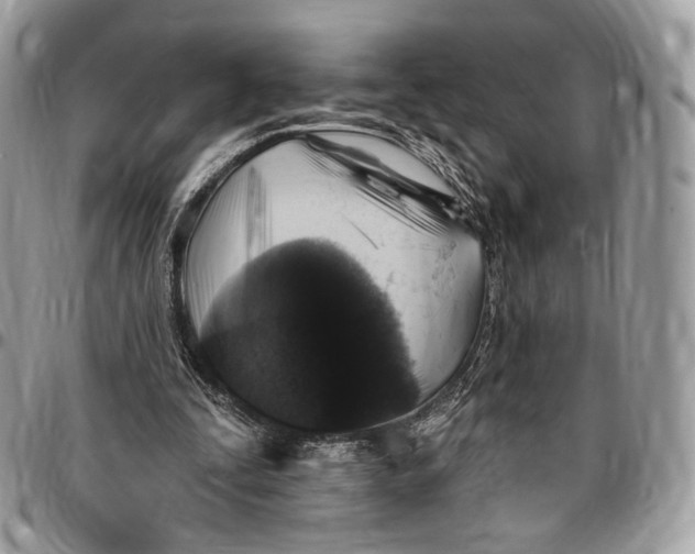 X0000096470295200802141704