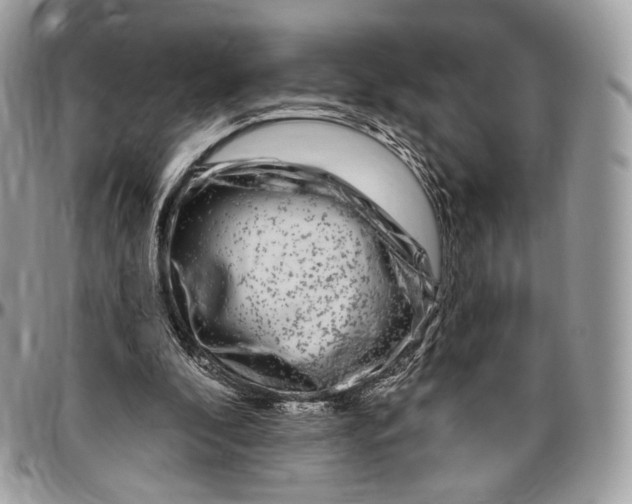 X0000096470296200802141704