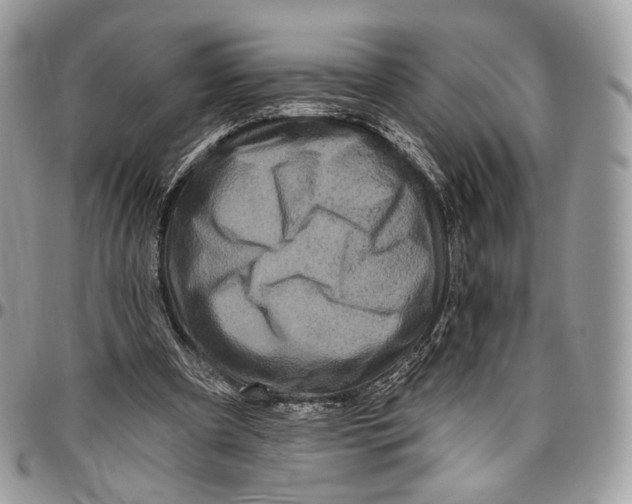 X0000096470297200802141704