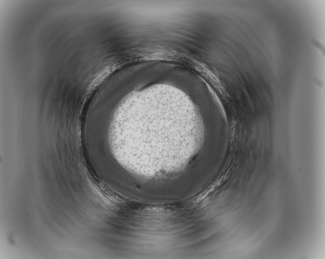 X0000096470298200802141704