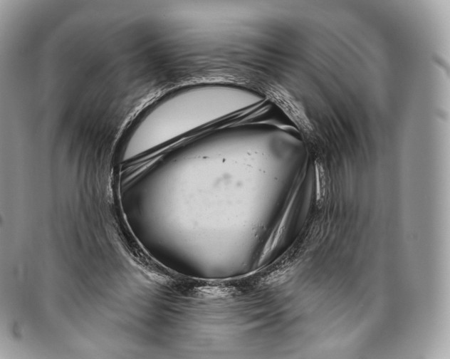 X0000096470300200802141704