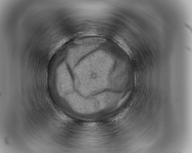 X0000096470301200802141704