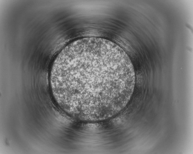 X0000096470302200802141704