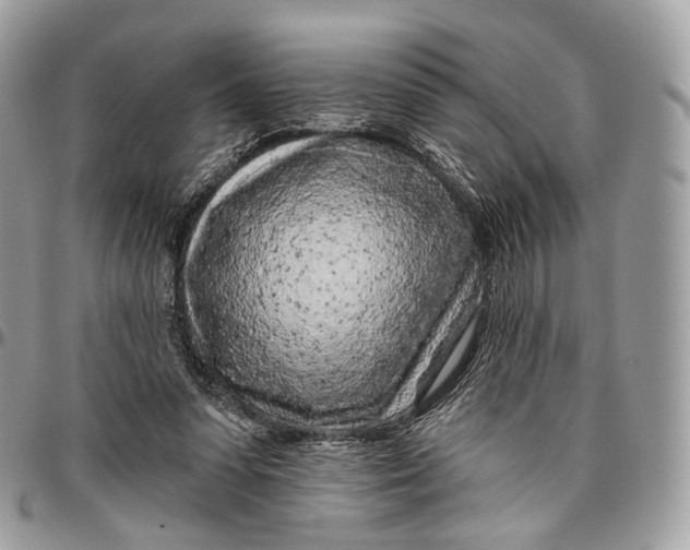 X0000096470303200802141704