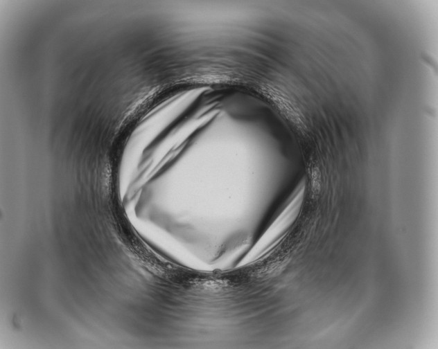 X0000096470304200802141704