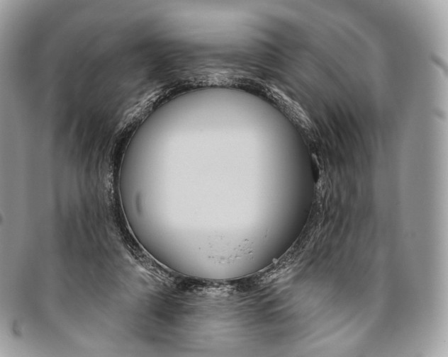 X0000096470306200802141704