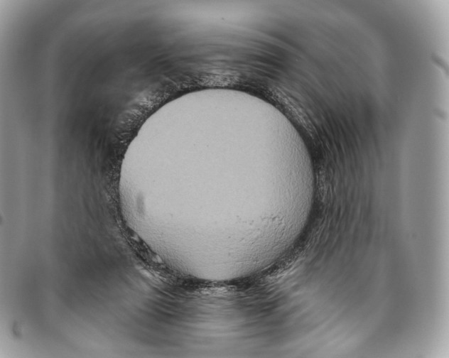 X0000096470307200802141704