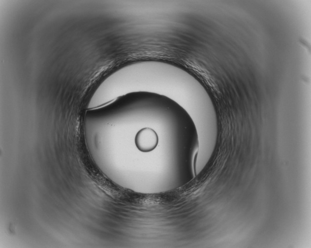 X0000096470308200802141704