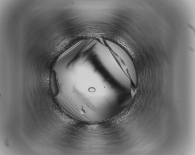 X0000096470309200802141704