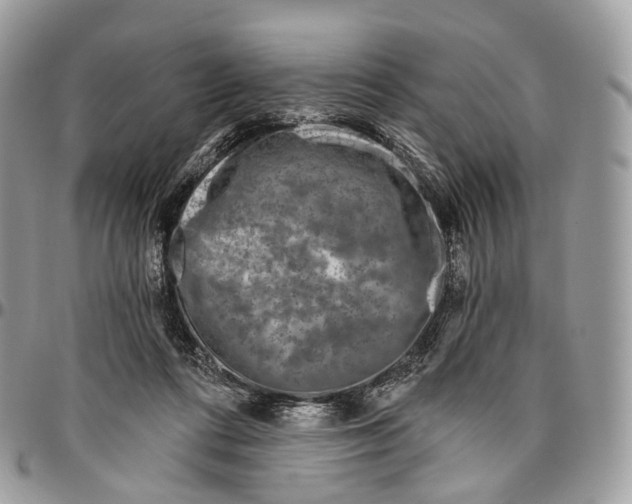 X0000096470312200802141704