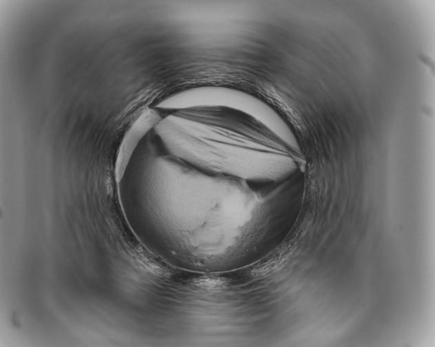 X0000096470313200802141704