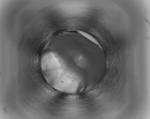 X0000096470314200802141704