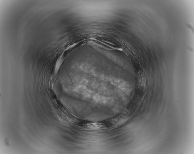 X0000096470316200802141704