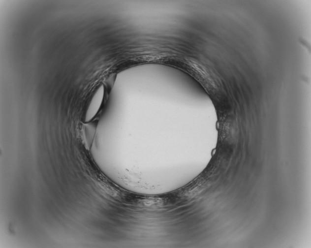 X0000096470317200802141704