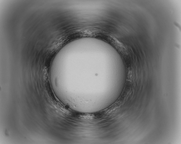 X0000096470318200802141704