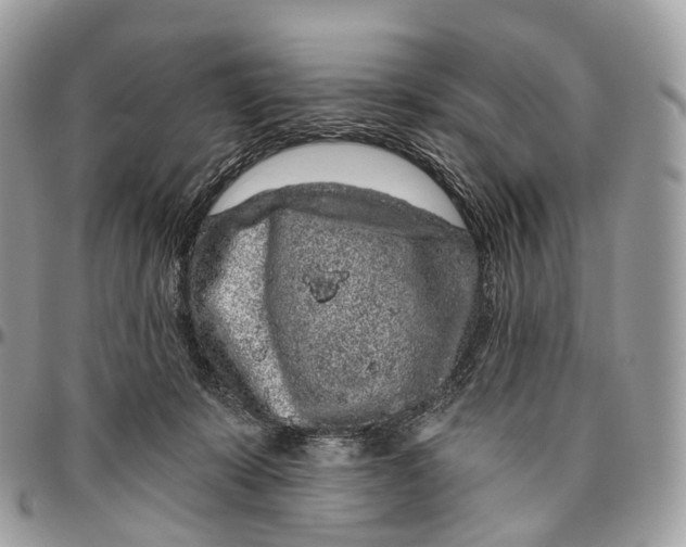 X0000096470319200802141704