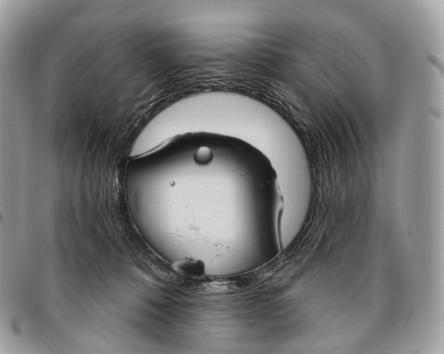 X0000096470320200802141704