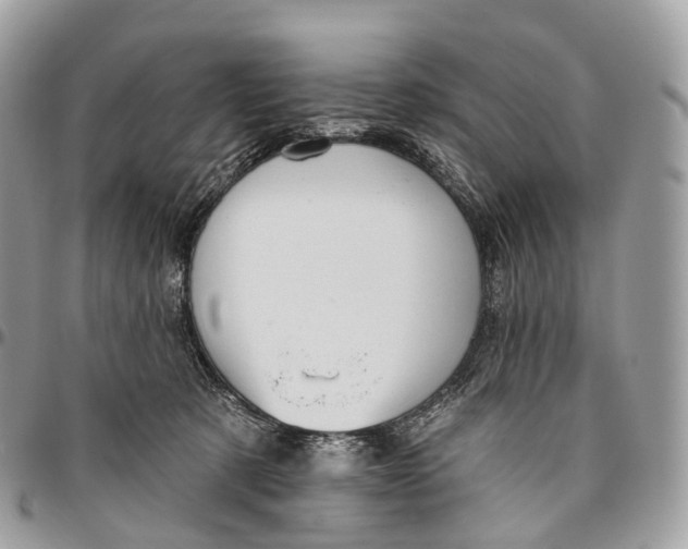 X0000096470321200802141704