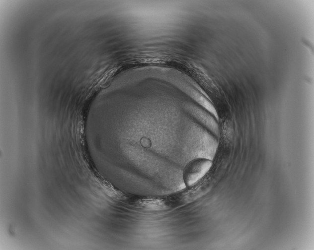 X0000096470322200802141704