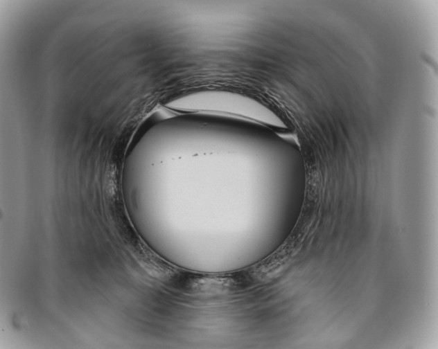 X0000096470323200802141704