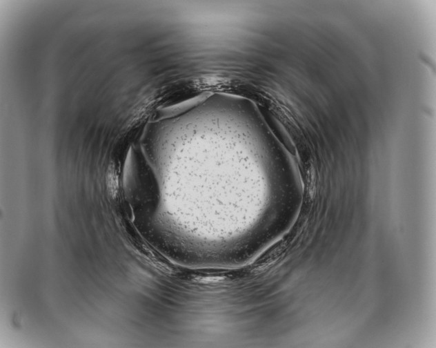 X0000096470324200802141704