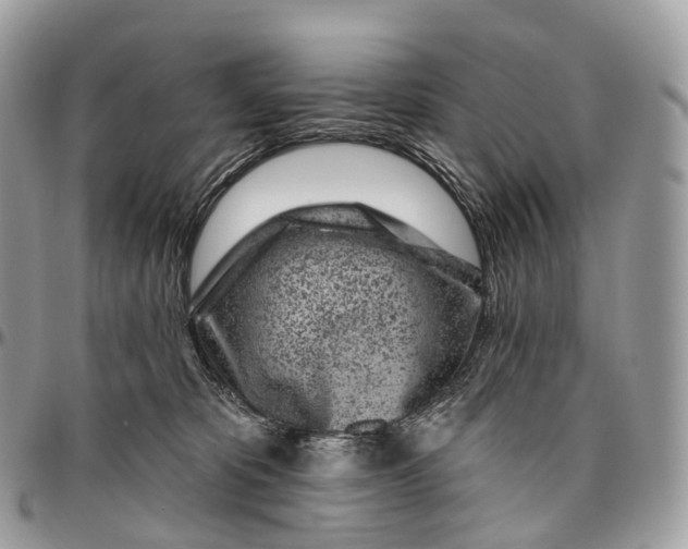 X0000096470325200802141704