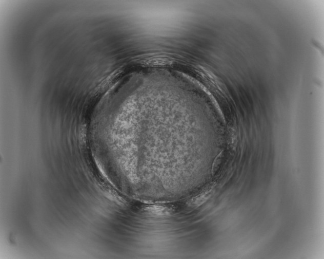 X0000096470326200802141704