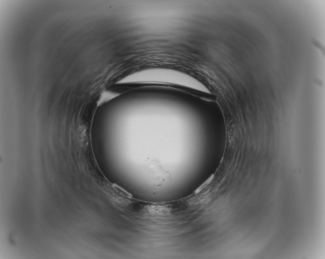 X0000096470327200802141704