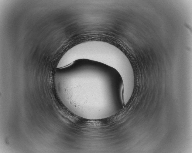 X0000096470328200802141704