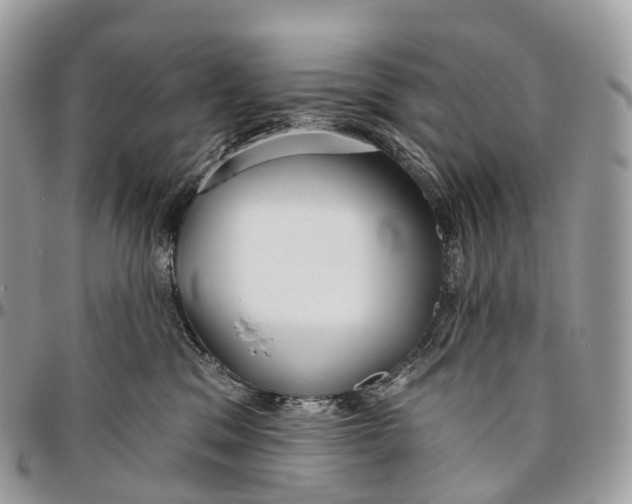 X0000096470329200802141704