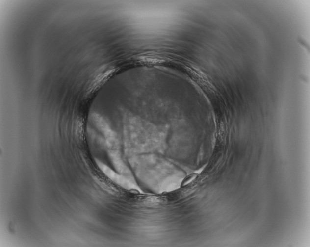 X0000096470330200802141704